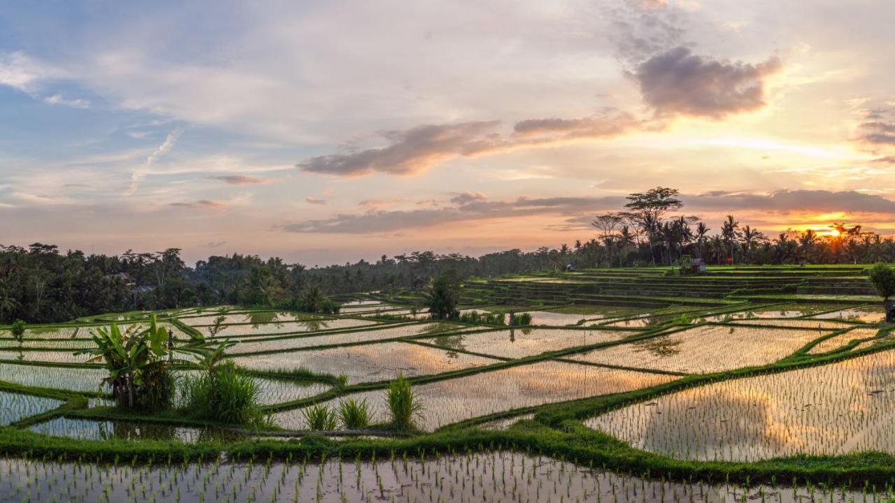 Stanagiri Villas Ubud Tegallalang  Ngoại thất bức ảnh